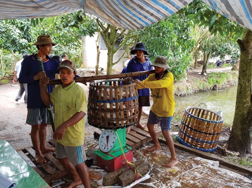 Nâng cao giá trị thủy sản