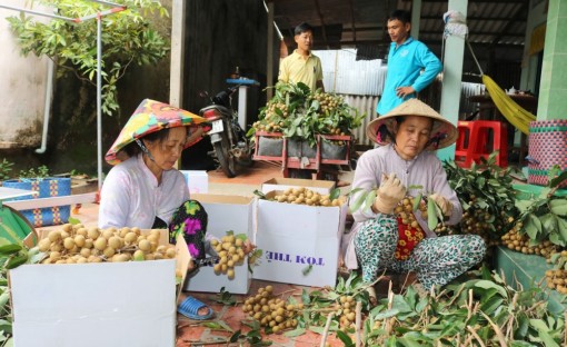 Đầu ra gặp khó, giá nhãn giảm