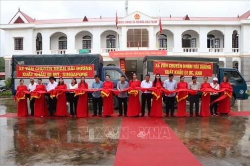 Hàng chục tấn nhãn tươi Việt Nam cập cảng thị trường Australia