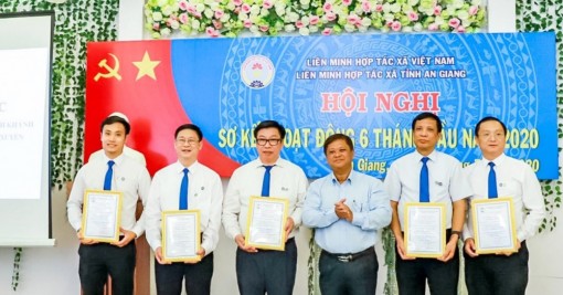 Phát triển kinh tế hợp tác, nhiều thuận lợi và thách thức đan xen
