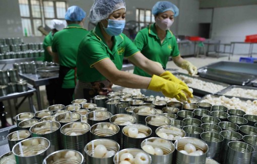 Tận dụng cơ hội EVFTA vượt qua thách thức đại dịch: Thời điểm phù hợp