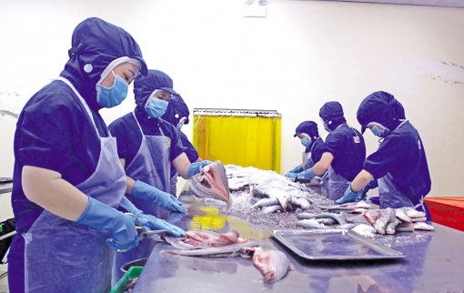 Cần Thơ: Đồng lòng thực hiện “nhiệm vụ kép”