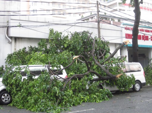 Ứng dụng nhiều giải pháp phòng, tránh thiên tai