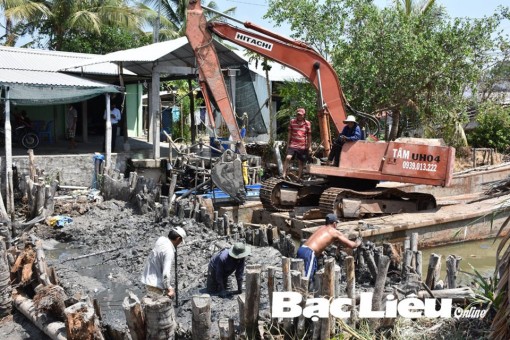 Bạc Liêu vượt qua hạn, mặn một cách ngoạn mục