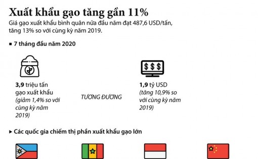 Xuất khẩu gạo trong 7 tháng đầu năm tăng gần 11%