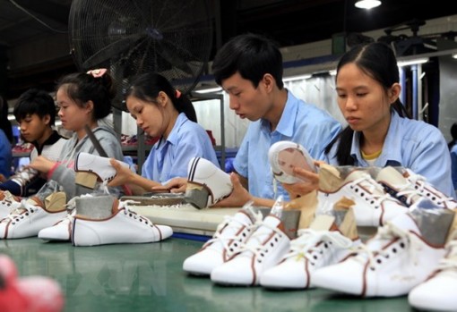 Dịch COVID-19: Đánh giá tác động để xây dựng chính sách hỗ trợ phù hợp