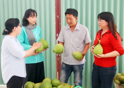 Vĩnh Long: Kết nối giao thương tiêu thụ, chế biến nông sản