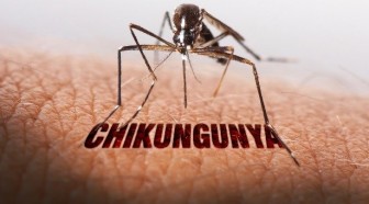 An Giang tăng cường kiểm soát tình hình dịch bệnh Chikungunya