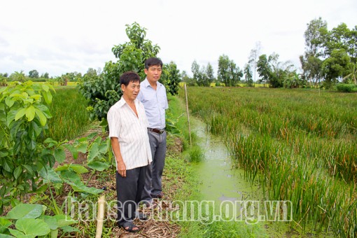 Cựu chiến binh làm kinh tế giỏi