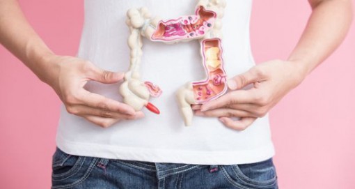 Thứ bí ẩn trong ruột người có thể tấn công 3 loại ung thư