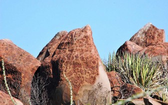 Những tác phẩm nghệ thuật bí ẩn trên đá ở sa mạc Mexico