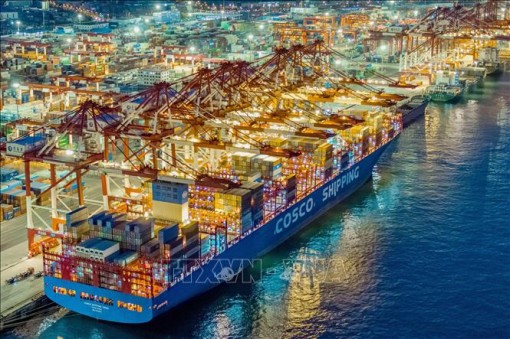 Chỉ số thương mại hàng hóa của WTO chạm mức thấp kỷ lục