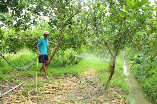 Vĩnh Long: Thoát nghèo nhờ nguồn vốn Ngân hàng Chính sách xã hội