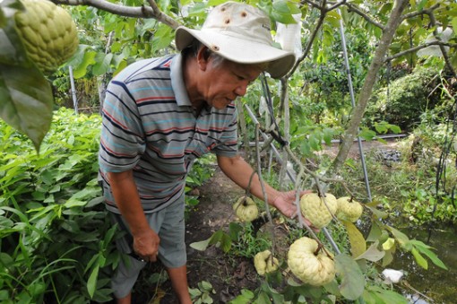 Lối ra cho sản phẩm "độc", lạ