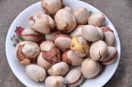 7 loại hạt trái cây quen thuộc được coi như 'thần dược' cho sức khoẻ