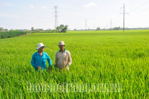 Trở lại đà tăng giá