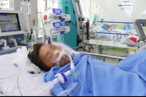 Bệnh nhân bị rắn hổ mang chúa cắn vẫn phải lọc máu