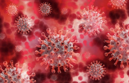 Nhật Bản phát hiện khí ozone có thể vô hiệu hóa virus SARS-CoV-2