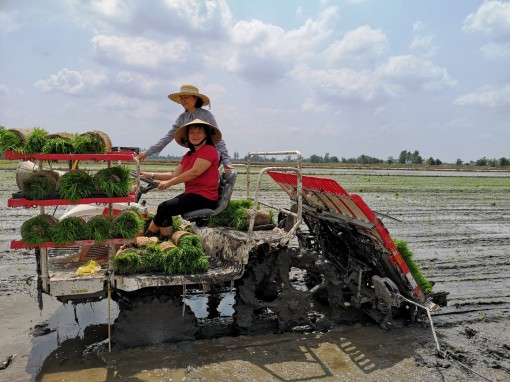 Cần Thơ: Góp sức phát triển nền nông nghiệp hiện đại, vững tin hội nhập