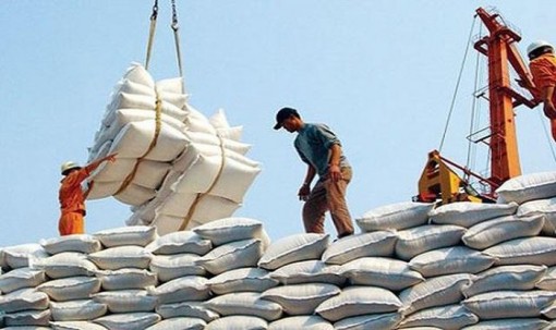 Giá gạo trắng của Việt Nam cao nhất thế giới
