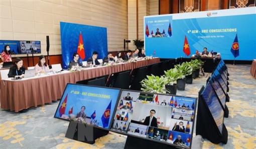 Đẩy nhanh tham vấn để đưa Hiệp định AHKFTA, AHKIA vào thực thi