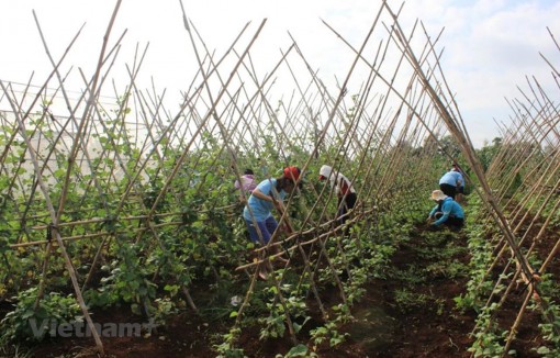 CPI tháng Tám tăng 0,07%: Chủ yếu do bão số 2 và mưa trên diện rộng