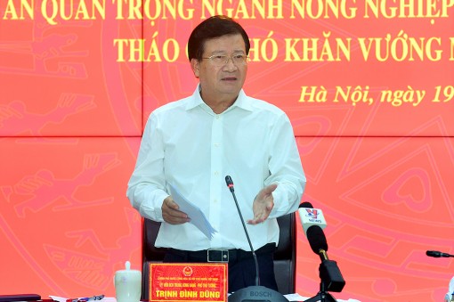 Giải ngân đầu tư công để huy động nguồn lực phát triển nông nghiệp