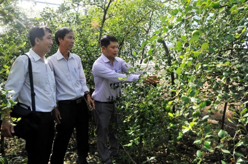 Châu Phú đề ra nhiều giải pháp phát triển kinh tế - xã hội