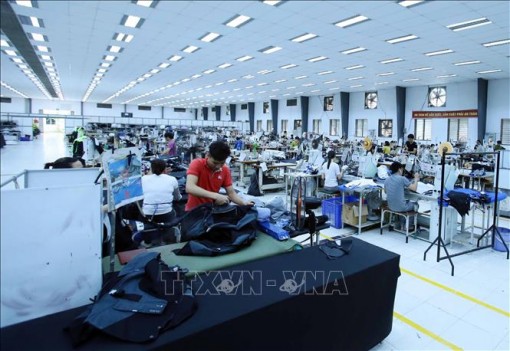 Truyền thông Israel đánh giá cao chính sách đối ngoại và thành tựu kinh tế của Việt Nam