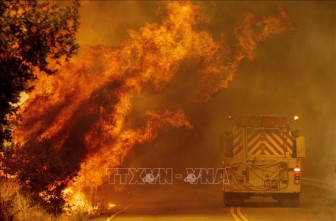 Giải cứu trên 200 người mắc kẹt do cháy rừng ở California