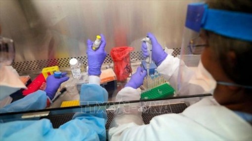 Australia sẵn sàng cho việc sản xuất vaccine ngừa COVID-19 trong 6 tháng tới