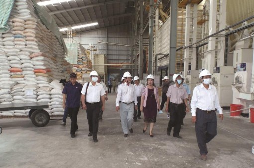 Giá gạo nội địa ổn định ở mức cao