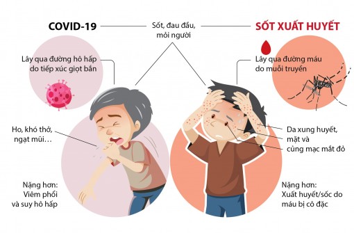 Phân biệt COVID-19 và sốt xuất huyết