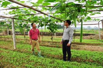 Tuyên Quang: Nông dân khá giả nhờ nuôi cá đặc sản, trồng bầu canh, rau xanh