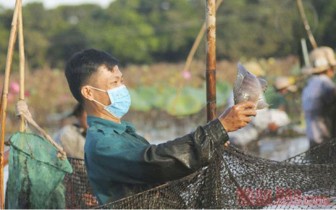 Độc đáo lễ hội phá trằm bắt cá ở Quảng Trị