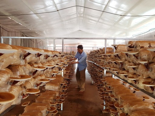 Khoa học và công nghệ hội nhập kinh tế quốc tế