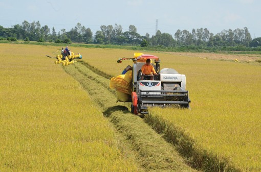Tận dụng cơ hội từ Hiệp định thương mại tự do giữa Việt Nam và Liên minh Châu Âu (EVFTA)