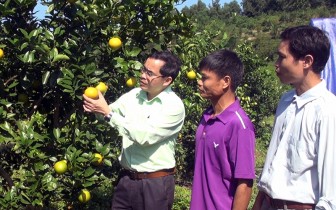 Tuyên Quang đẩy mạnh phát triển nông nghiệp hàng hóa