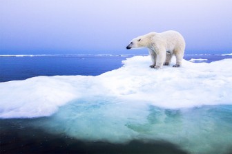 Khí hậu Bắc Cực 'đổi mới'