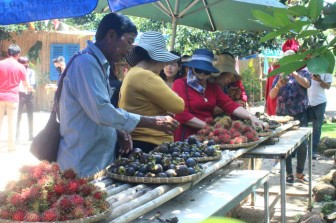 Đồng Nai: Nông dân thu tiền tỷ vì để du khách vào vườn tha hồ hái bưởi, chôm chôm