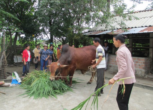 Xây dựng nông thôn mới ở Quảng Ngãi: Đời sống nâng cao, làng xã thêm văn minh...