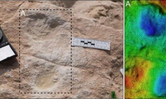 Tìm thấy dấu chân 120.000 năm tuổi