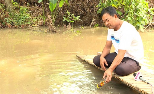 Cá lóc bú bình - sản phẩm thú vị của du lịch Cồn Sơn