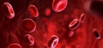 Một biến thể máu hiếm giúp ngăn ngừa bệnh sốt rét