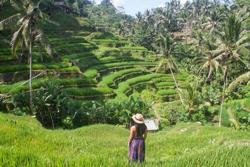 Đến Bali mà bỏ qua nơi này thì phí cả chuyến đi