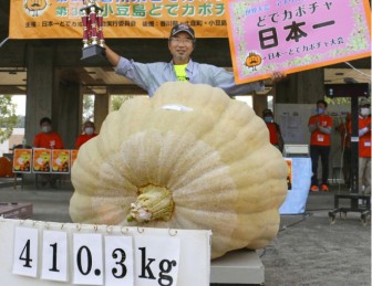Nhật Bản: Bí ngô trồng trên nền nhac Mozart giành giải nhất cuộc thi bí ngô nặng nhất