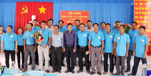 Nông dân miền núi liên kết trồng cây ăn trái