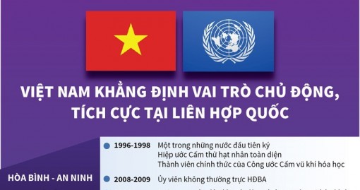 Việt Nam khẳng định vai trò chủ động, tích cực tại Liên hợp quốc