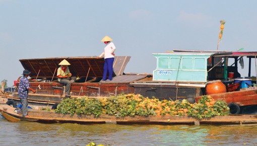 Về An Giang đi chợ nổi