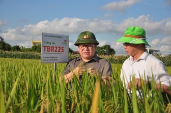 Chủ tịch Hội Nông dân Việt Nam: Doanh nghiệp phải là đầu tàu trong hỗ trợ nông dân